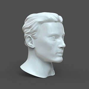 3D male head cad model