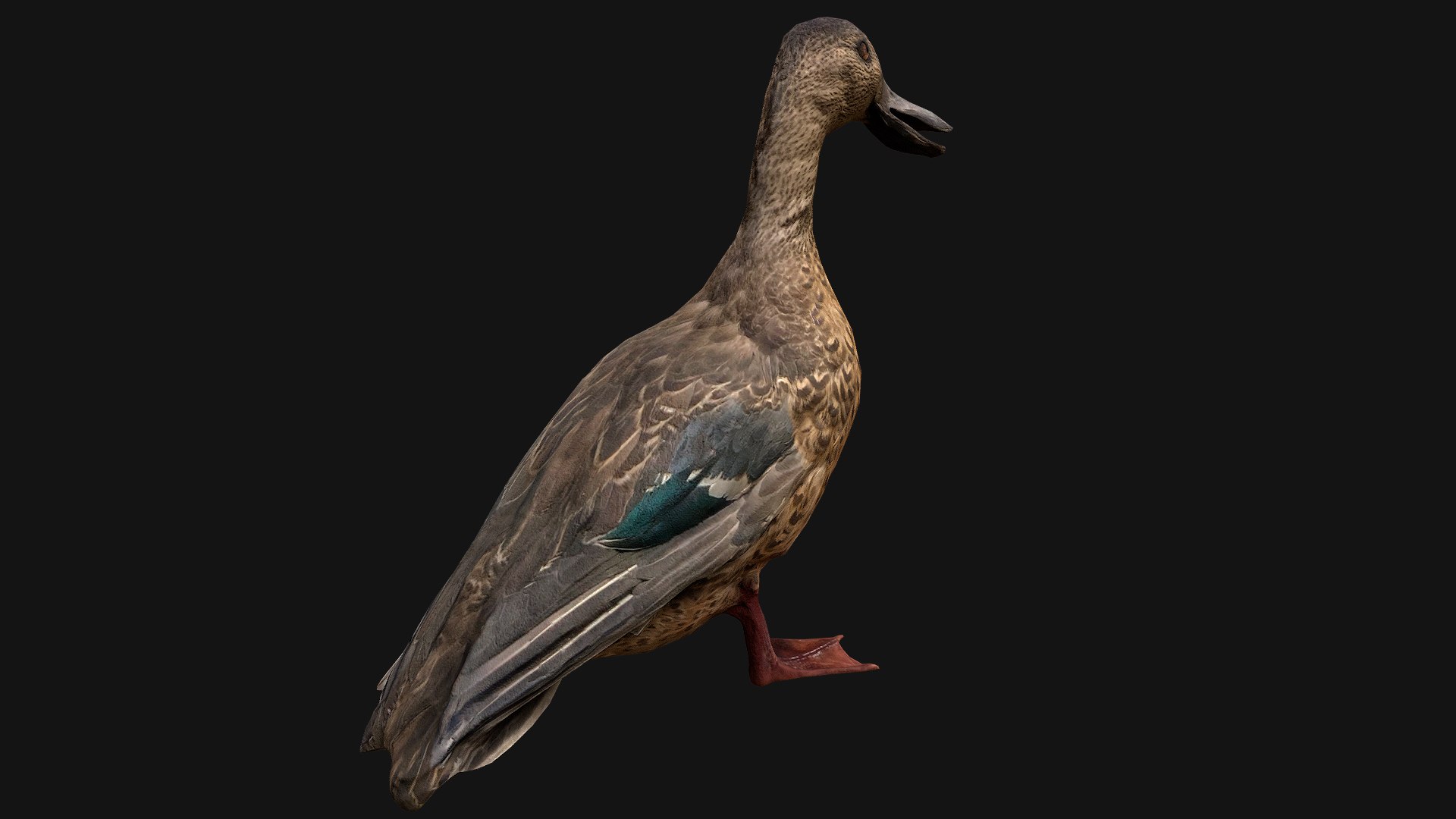 3D Swan and Ducks Birds Pack https://p.turbosquid.com/ts-thumb/Dg/l3wuQ7/0K/duck5/png/1686846169/1920x1080/fit_q87/81202342bddced050f35dc4e9b8e76e3e5957375/duck5.jpg