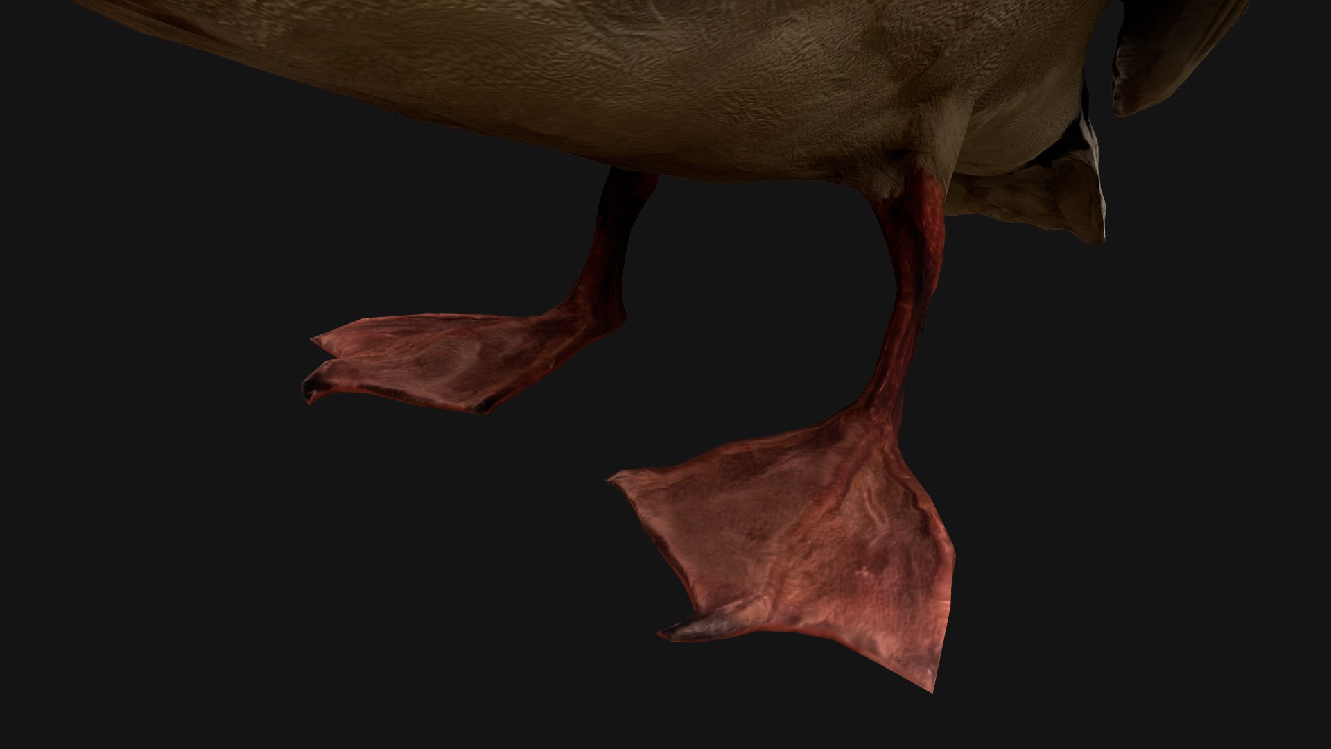 3D Swan and Ducks Birds Pack https://p.turbosquid.com/ts-thumb/Dg/l3wuQ7/14/duckstandart17/png/1686846201/1920x1080/fit_q87/91ae5d4be870c4f343a6cd57618e3d1b10d168a4/duckstandart17.jpg