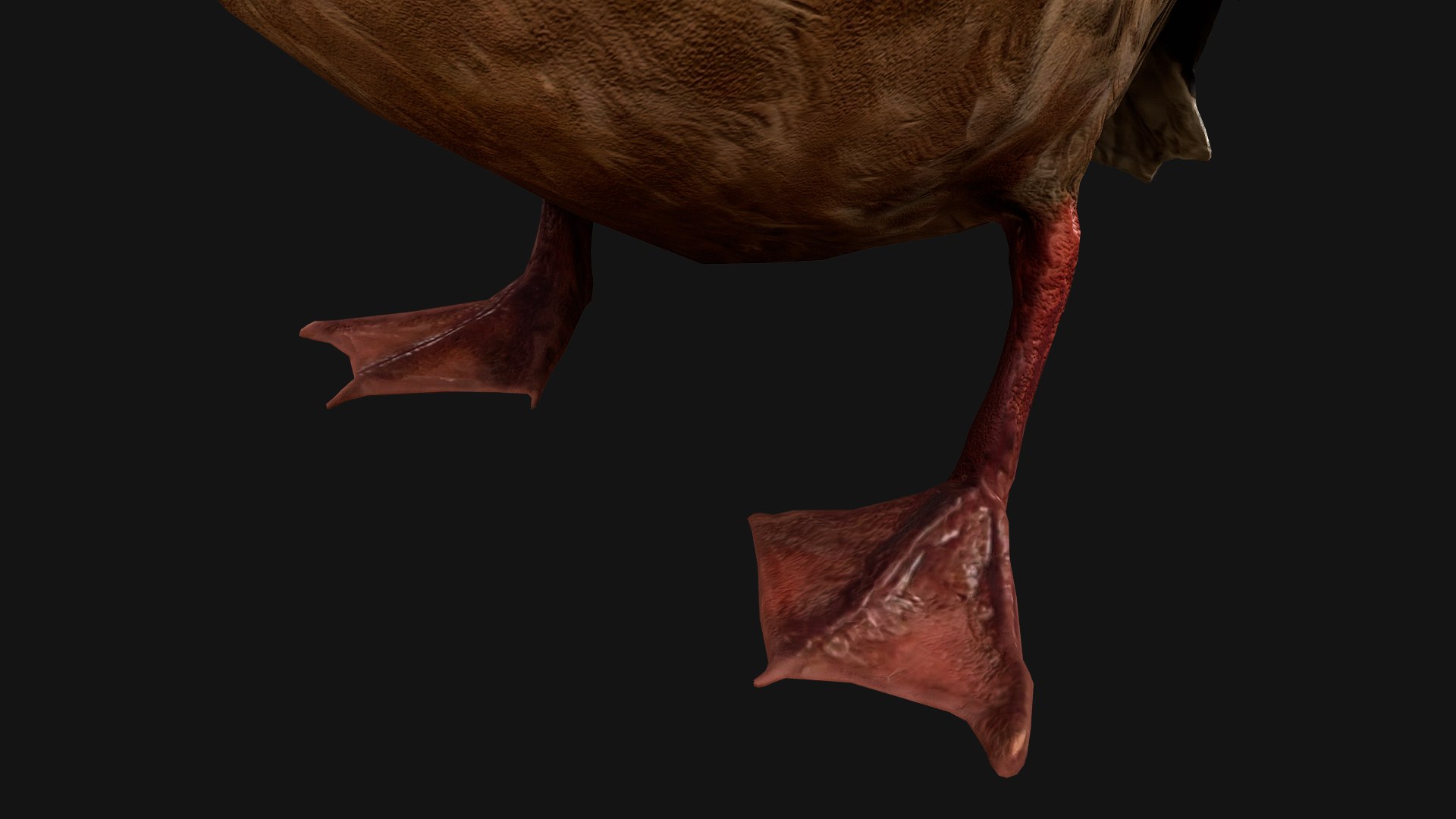 3D Swan and Ducks Birds Pack https://p.turbosquid.com/ts-thumb/Dg/l3wuQ7/5s/duck19/png/1686846185/1920x1080/fit_q87/3b1752c8188e8dd651f8541cd7e9d5772e822265/duck19.jpg