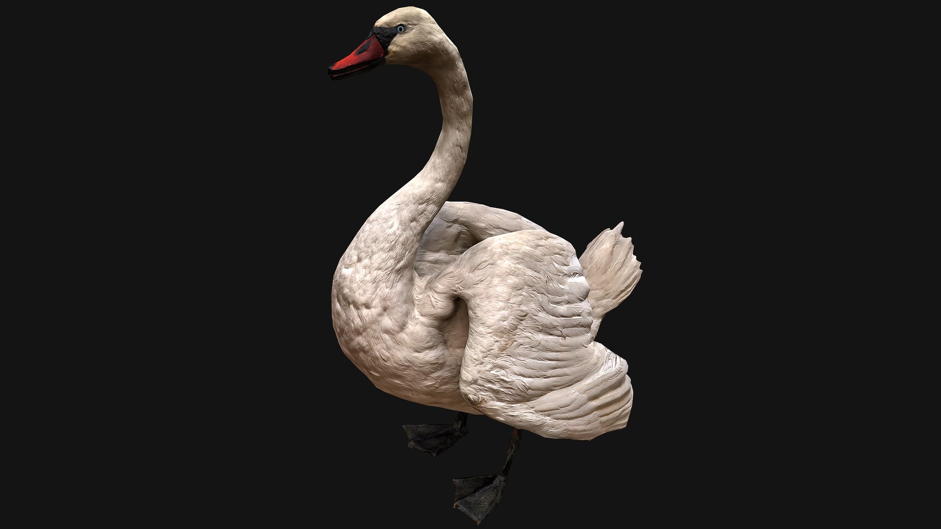 3D Swan and Ducks Birds Pack https://p.turbosquid.com/ts-thumb/Dg/l3wuQ7/7u/swan1/png/1686846495/1920x1080/fit_q87/390561ba8a4a1b763ffbeb240008997667065d0b/swan1.jpg