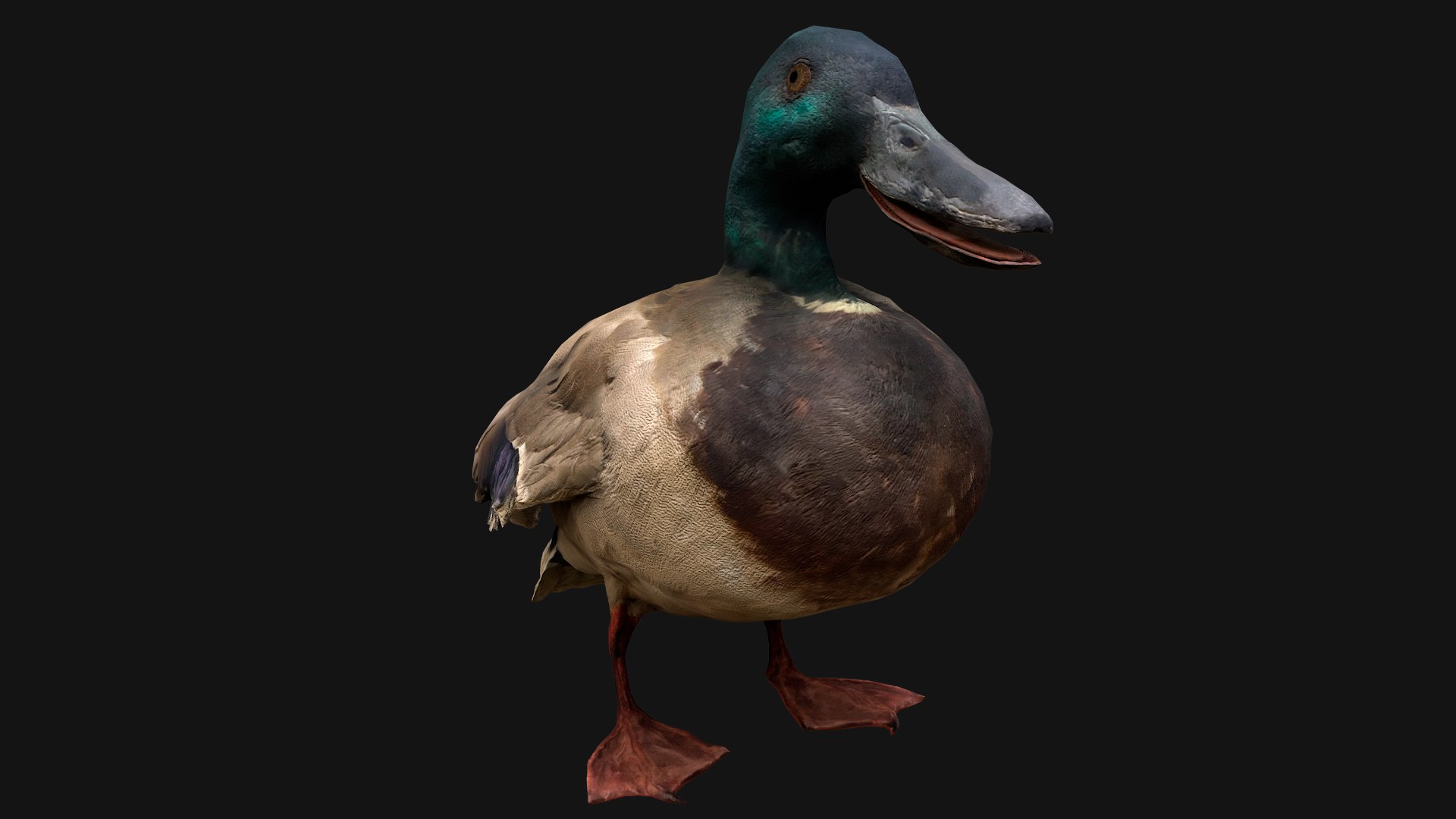 3D Swan and Ducks Birds Pack https://p.turbosquid.com/ts-thumb/Dg/l3wuQ7/9B/duckstandart5/png/1686846189/1920x1080/fit_q87/becba0595b50a17fd2a6d41589e87464246cab6c/duckstandart5.jpg