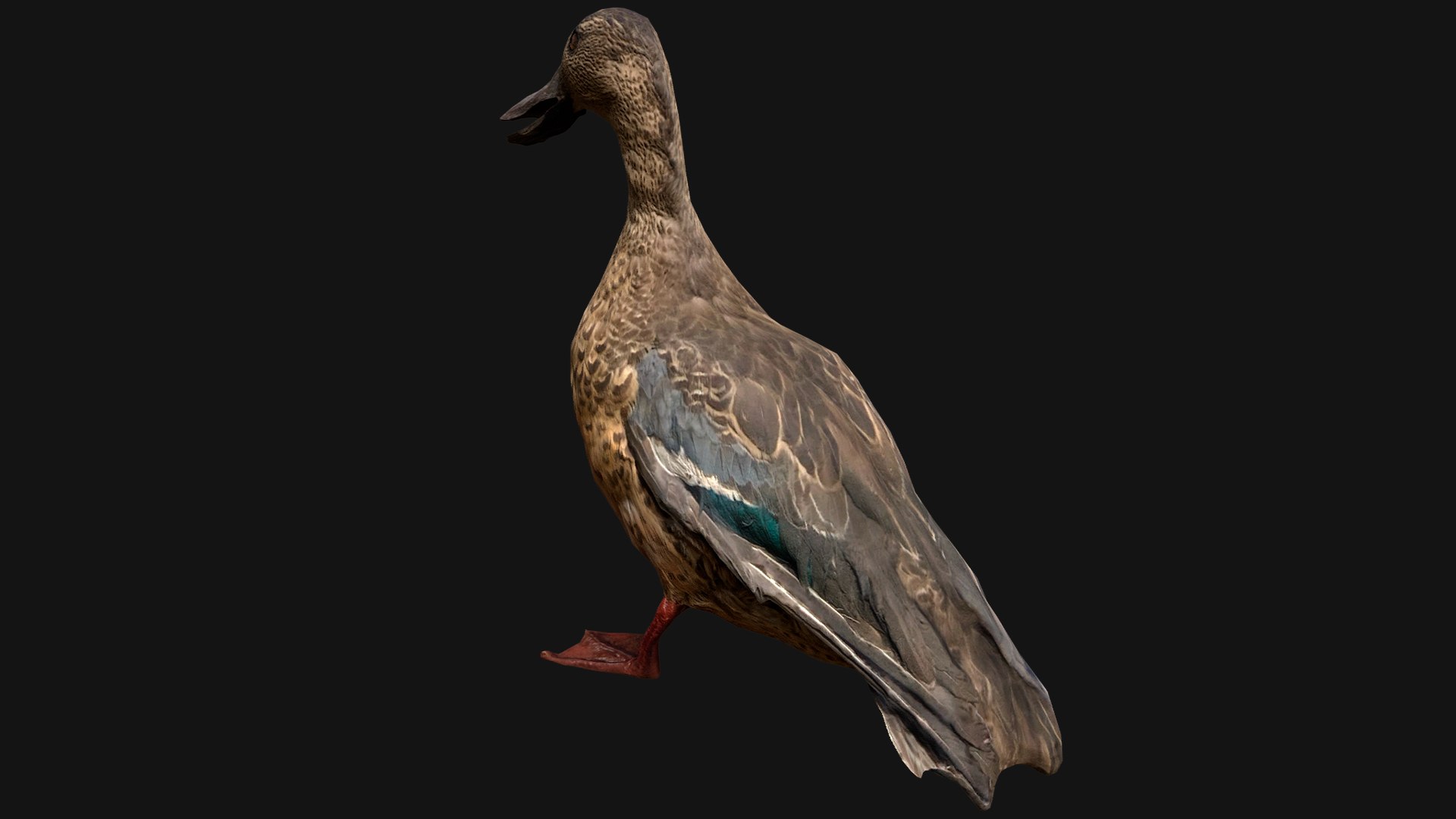 3D Swan and Ducks Birds Pack https://p.turbosquid.com/ts-thumb/Dg/l3wuQ7/F1/duck7/png/1686846174/1920x1080/fit_q87/39436319246599d1aab2ac9a1cf8874803c659fe/duck7.jpg
