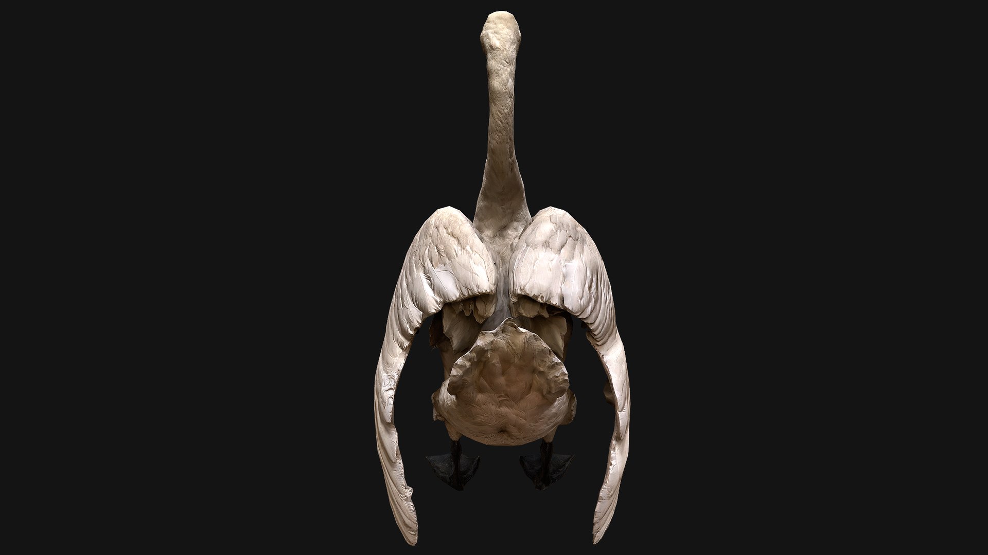 3D Swan and Ducks Birds Pack https://p.turbosquid.com/ts-thumb/Dg/l3wuQ7/N3/swan7/png/1686846499/1920x1080/fit_q87/253fcb2c93eabeaf0a806e8c22f0367e896aea33/swan7.jpg