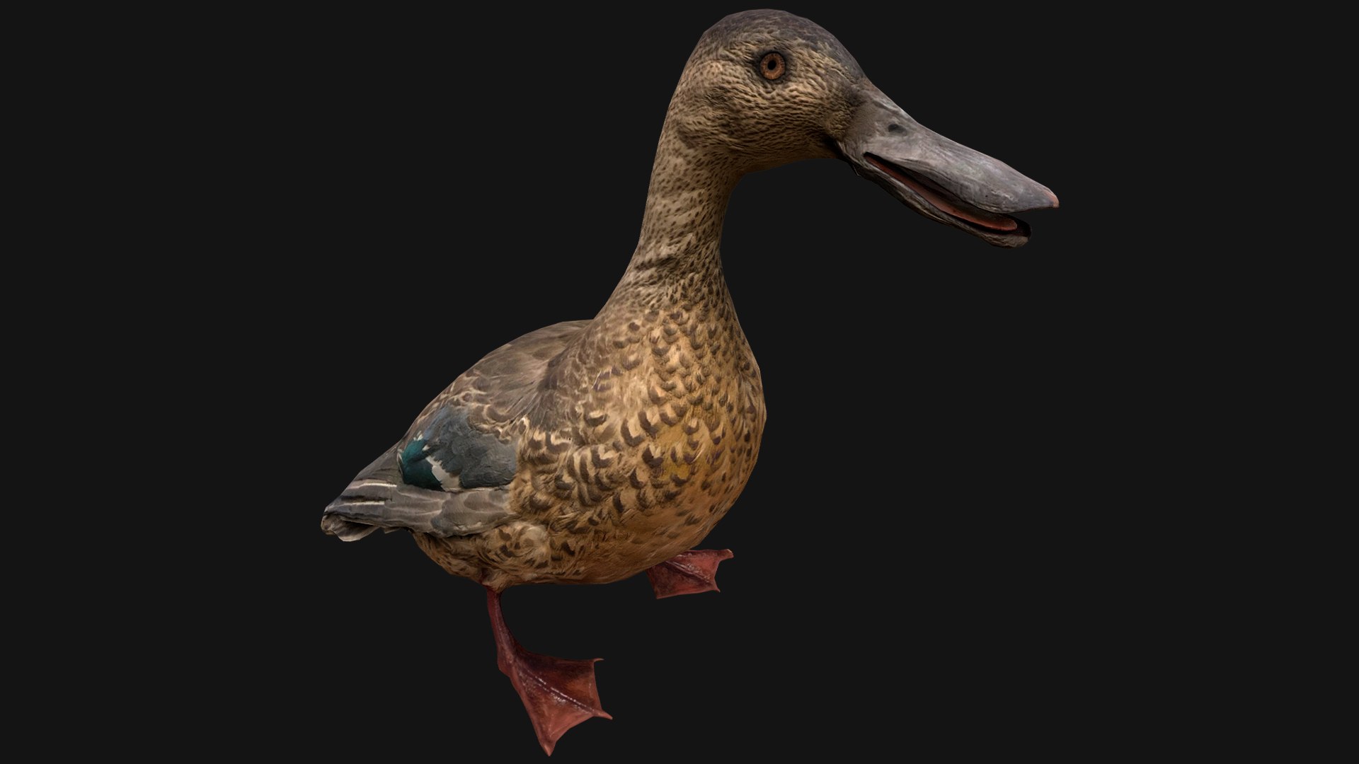 3D Swan and Ducks Birds Pack https://p.turbosquid.com/ts-thumb/Dg/l3wuQ7/PF/duck1/png/1686846164/1920x1080/fit_q87/1f467ab2d34762b875d4844b47ccefc51658bf1a/duck1.jpg