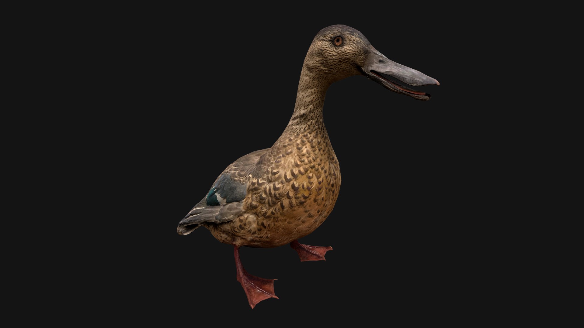 3D Swan and Ducks Birds Pack https://p.turbosquid.com/ts-thumb/Dg/l3wuQ7/Rg/duck18/png/1686846179/1920x1080/fit_q87/635efc4d023e18cb58cb700aef4fdca7c12a8bf6/duck18.jpg