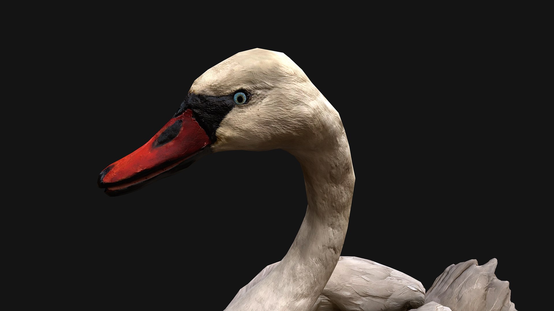 3D Swan and Ducks Birds Pack https://p.turbosquid.com/ts-thumb/Dg/l3wuQ7/Xl/swan13/png/1686846507/1920x1080/fit_q87/63d3a32ef7b35e1d500b6e6633ee91761e3d4ad1/swan13.jpg