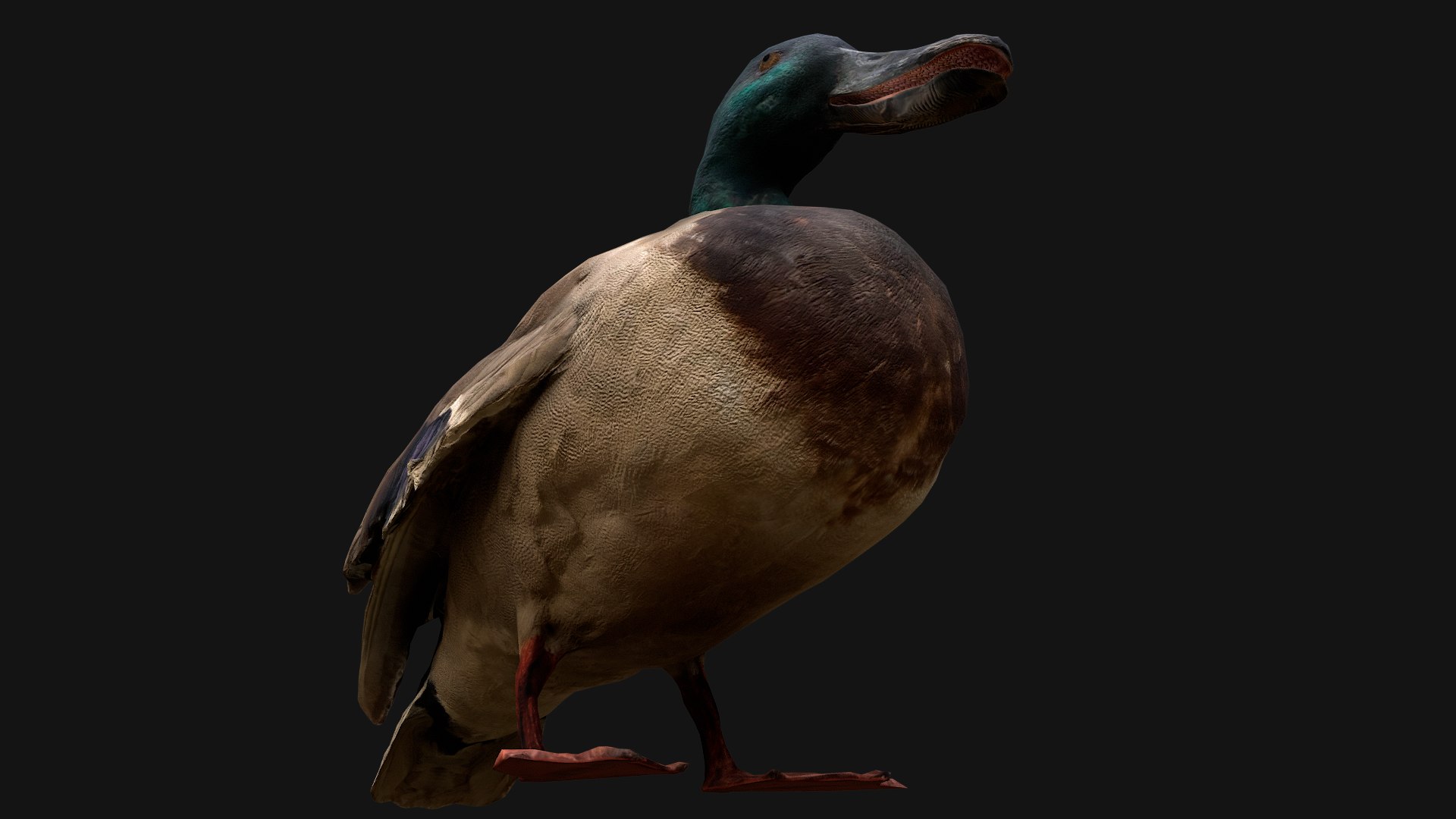 3D Swan and Ducks Birds Pack https://p.turbosquid.com/ts-thumb/Dg/l3wuQ7/Y9/duckstandart19/png/1686846202/1920x1080/fit_q87/015202123bb46d1bb583b672d31e8e3c50bfcada/duckstandart19.jpg
