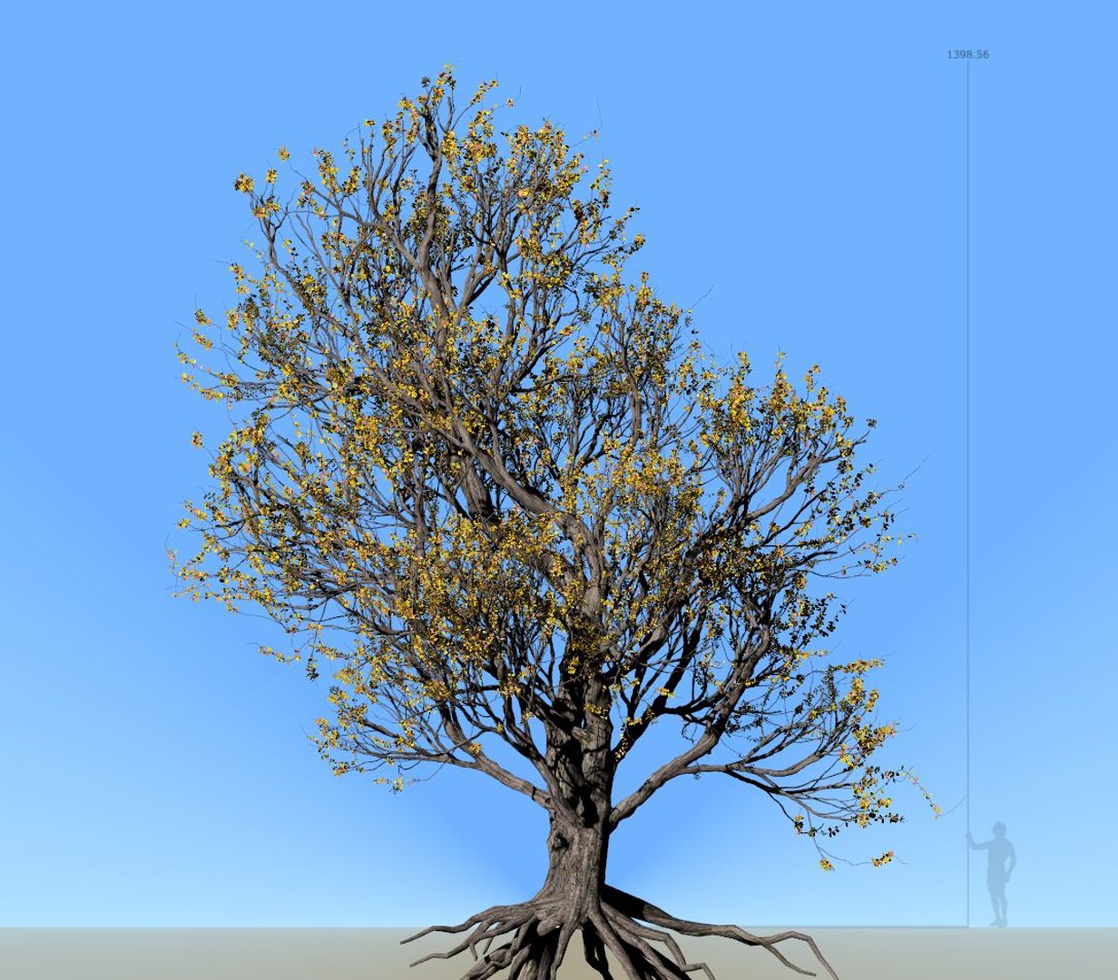3D american elm tree 001 https://p.turbosquid.com/ts-thumb/Dg/p08Ygl/vOgHvBpV/american_hornbeam_preview_001/jpg/1607303079/1920x1080/fit_q87/080716a10bbf9ee9788360276ddd2671dd46c9fa/american_hornbeam_preview_001.jpg