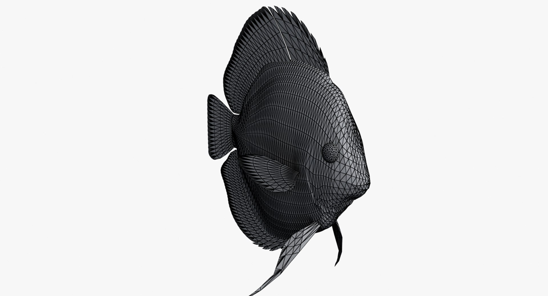 3d Model Fish Rigged