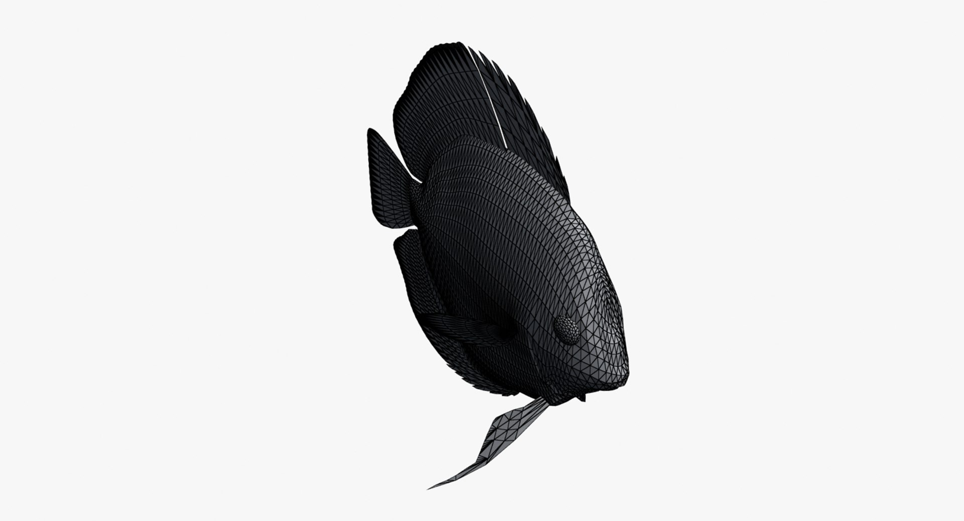 3d Model Fish Rigged
