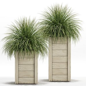 Plants collection 751 3D model