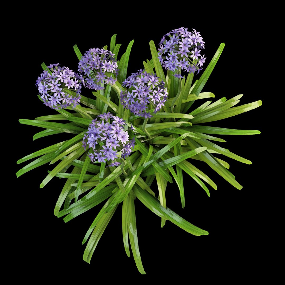 3ds max interior exterior https://p.turbosquid.com/ts-thumb/Dg/vwAsmD/4tlFMvMV/agapanthus_4/jpg/1395837854/1920x1080/fit_q87/e527dfef8e55666521b6c2420543ef774bdf05fd/agapanthus_4.jpg