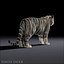 3d white tigers model