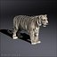 3d white tigers model