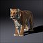 3d white tigers model