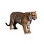 3d white tigers model