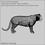 3d white tigers model