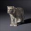 3d white tigers model