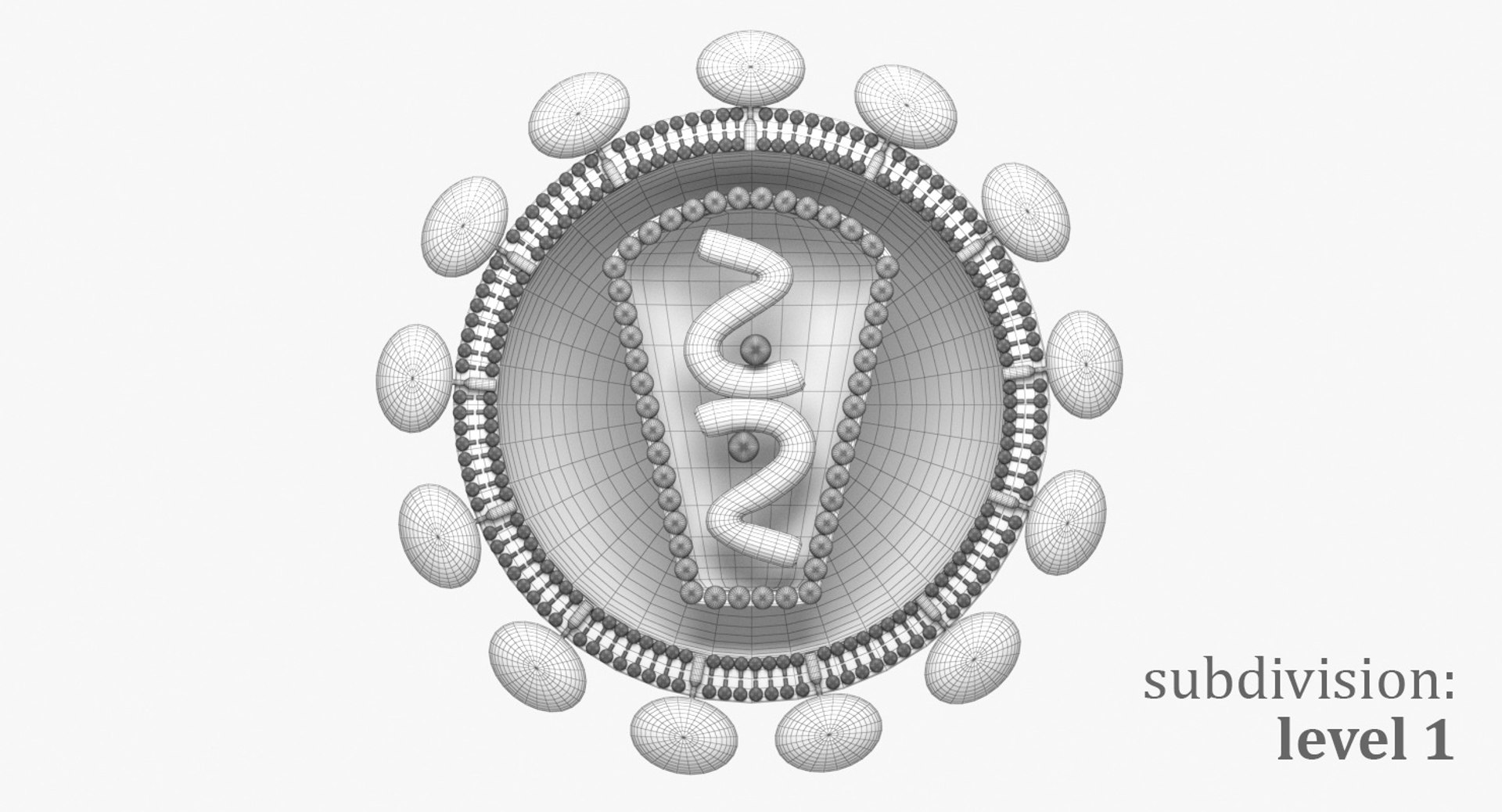 Retrovirus core lipid 3D - TurboSquid 1356815