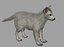 3D model wolf baby