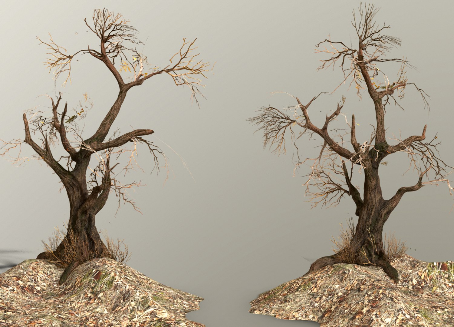 Fantasy Tree Model - TurboSquid 2192924
