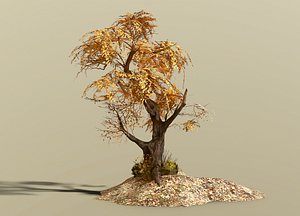 Fantasy  tree model