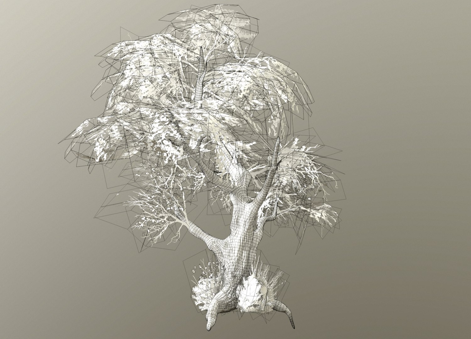 Fantasy Tree Model - TurboSquid 2192924