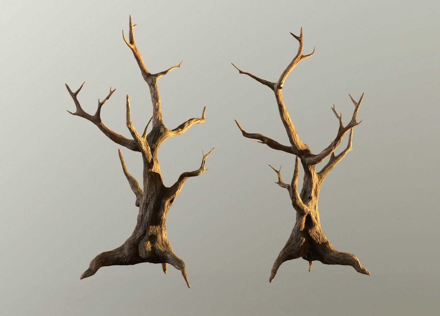 Fantasy Tree Model - TurboSquid 2192924