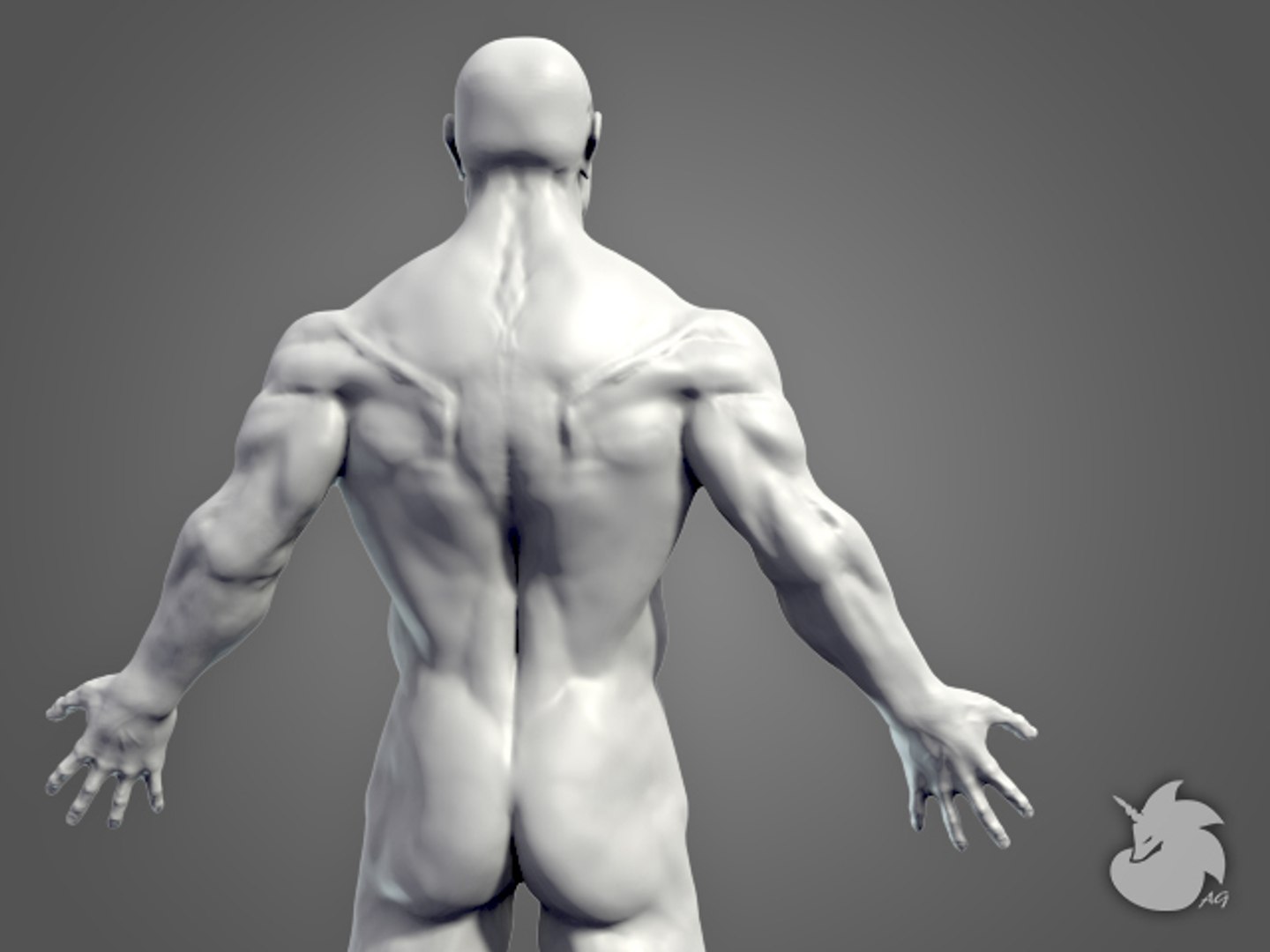Sculpt Muscular Male Base Mesh 3d Obj