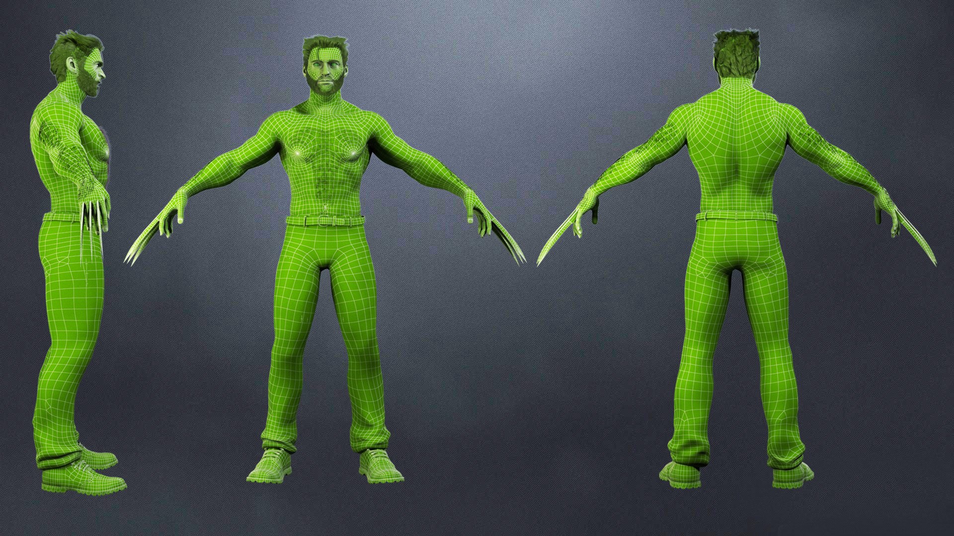 3D Wolverine model https://p.turbosquid.com/ts-thumb/Dh/dNiSEf/jd/wirefram/jpg/1726185278/1920x1080/fit_q87/2d61f6494f56d15ced8cf5b565639506e24fa5ca/wirefram.jpg