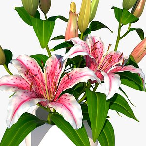 lily pink bouquet 3ds