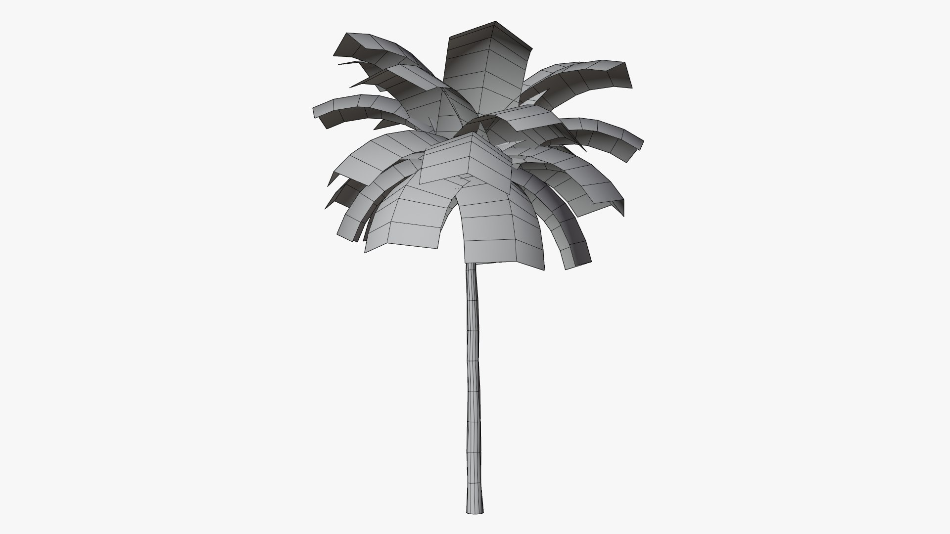 3D Tropic Palm Tree model https://p.turbosquid.com/ts-thumb/Dh/ksWcy8/70/11/png/1769957558/1920x1080/fit_q87/9a7df5dfcb5492eecc17717f29ab8777bd90af41/11.jpg