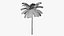 Tropic Palm Tree