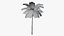Tropic Palm Tree