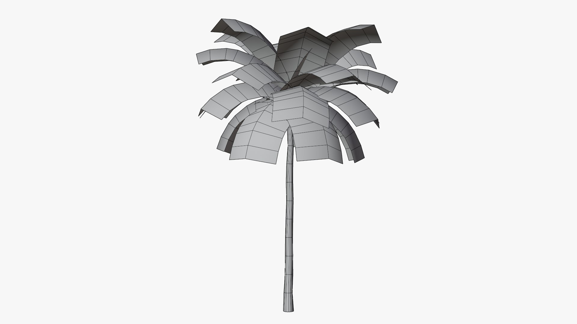 3D Tropic Palm Tree model https://p.turbosquid.com/ts-thumb/Dh/ksWcy8/VW/10/png/1769957558/1920x1080/fit_q87/b37d8ba3645b66acf71759b6655425790042a3e0/10.jpg