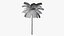 Tropic Palm Tree