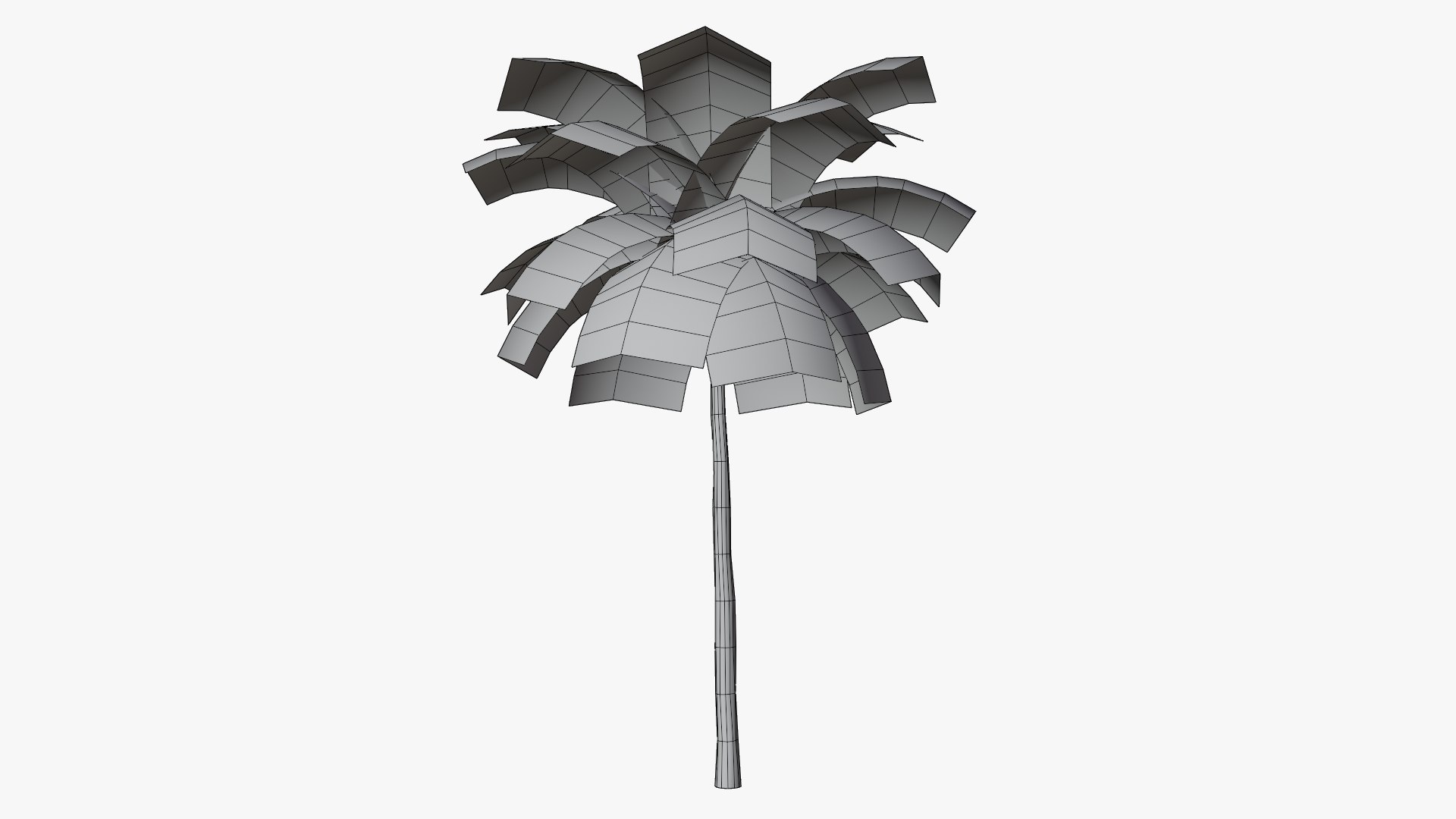 3D Tropic Palm Tree model https://p.turbosquid.com/ts-thumb/Dh/ksWcy8/bT/12/png/1769957559/1920x1080/fit_q87/caf800f9c8ca8b5fd9b8d66413154a5b4225ba3d/12.jpg