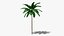 Tropic Palm Tree