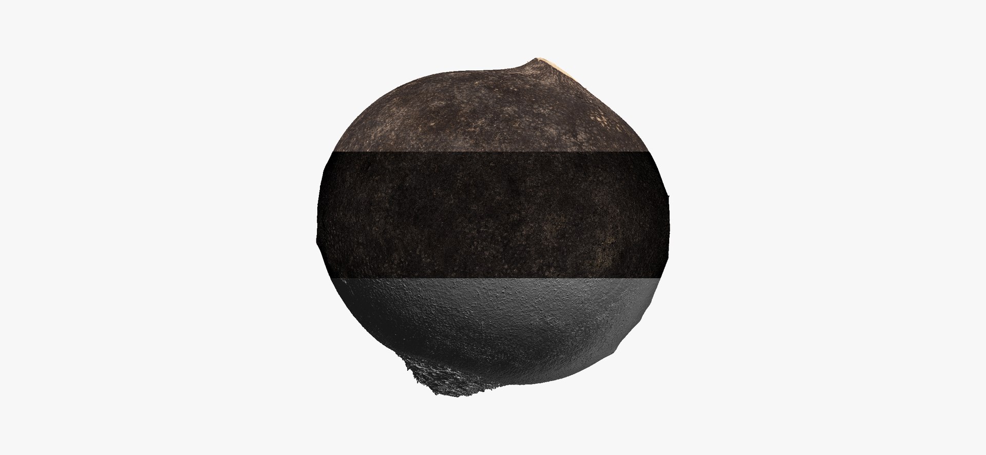 Turnip Black 04 Raw 3D - TurboSquid 1665133
