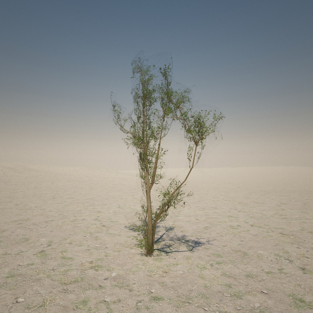 desert tree 3d max https://p.turbosquid.com/ts-thumb/Di/Gt8FfL/IIyFmkq9/render_20/jpg/1403996038/1920x1080/fit_q87/87e4af006d0b9651e39d9c0b81ff55c36b7f1fe0/render_20.jpg