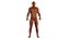 AAA MODÈLE 3D AFRO NEGRO MALE - PERSONNAGE RIGGED GAME READY
