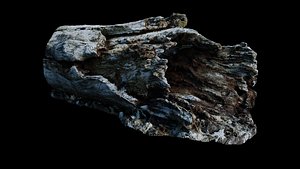 Fallen Rotting Log 3D