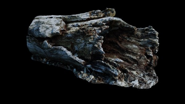 Fallen Rotting Log 3D - TurboSquid 1963597