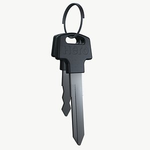 Bike key