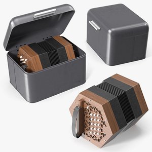 Concertina Accordion in Case
