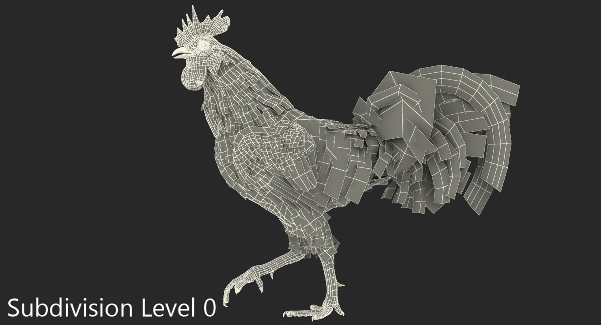 rooster walking 3d max https://p.turbosquid.com/ts-thumb/Di/hHh9U2/5Ey0jSIR/roosterwalking3dsmodel010/jpg/1479536577/1920x1080/fit_q87/aa8997943a6425872c9b0adb8671a13c4fab4133/roosterwalking3dsmodel010.jpg