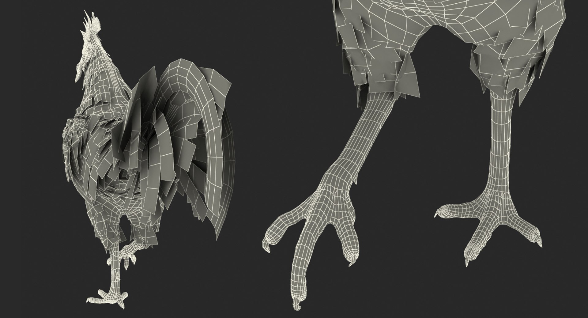 rooster walking 3d max https://p.turbosquid.com/ts-thumb/Di/hHh9U2/9vDRID0O/roosterwalking3dsmodel022/jpg/1479536577/1920x1080/fit_q87/6f0f616bf761230004a4486ddf18a2fa021eba1a/roosterwalking3dsmodel022.jpg