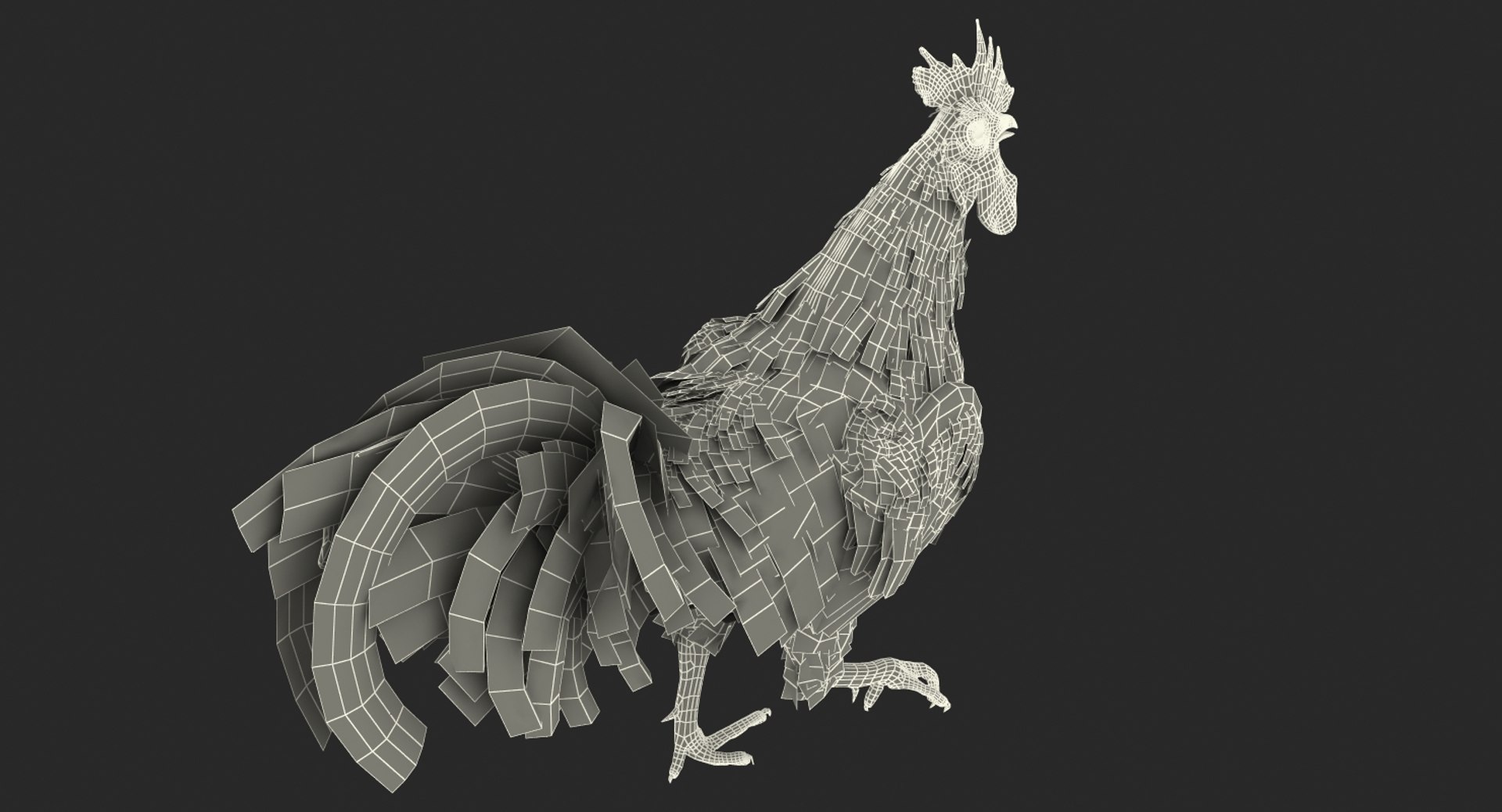 rooster walking 3d max https://p.turbosquid.com/ts-thumb/Di/hHh9U2/LZ7dm7nd/roosterwalking3dsmodel018/jpg/1479536577/1920x1080/fit_q87/de03c4349cff1abd37859208f90d761fd717a899/roosterwalking3dsmodel018.jpg