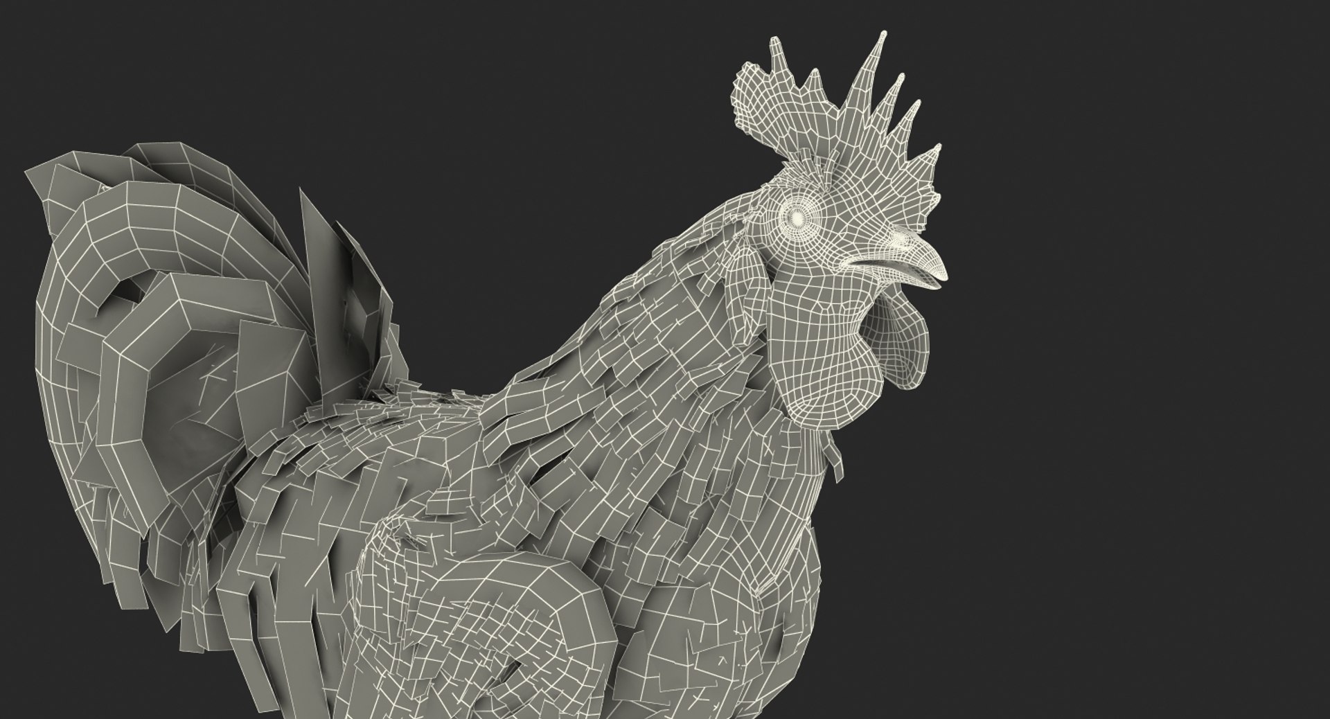 rooster walking 3d max https://p.turbosquid.com/ts-thumb/Di/hHh9U2/Qy45qR0N/roosterwalking3dsmodel020/jpg/1479536577/1920x1080/fit_q87/2c77ce569c47878232320e61e85fdc0e3e60a326/roosterwalking3dsmodel020.jpg